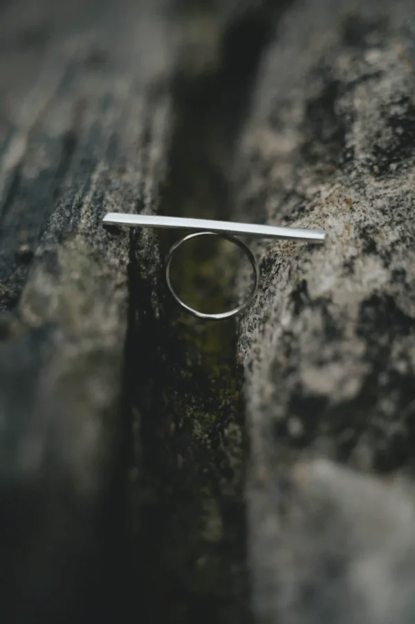 Large Horizontal Ring - Image 3
