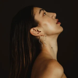 Motion Earrings